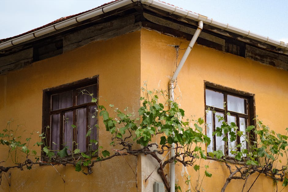 Professional gutter installation services